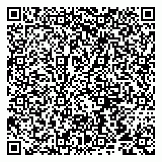 vCard 79807217381