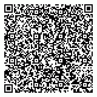 vCard 79807217382