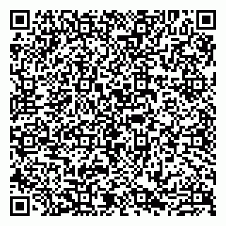 vCard 79807217384