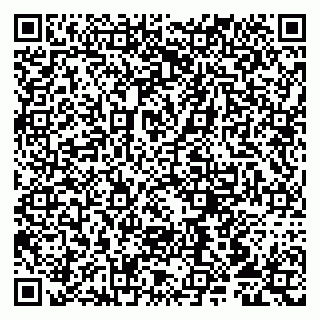 vCard 79807217500