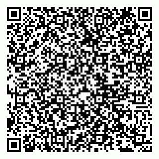 vCard 79807217539