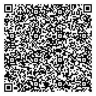 vCard 79807219003