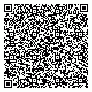 vCard 79807219013
