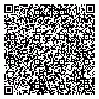 vCard 79807219032