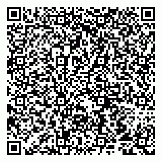 vCard 79807219033