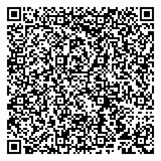 vCard 79807219037