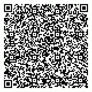 vCard 79807219295