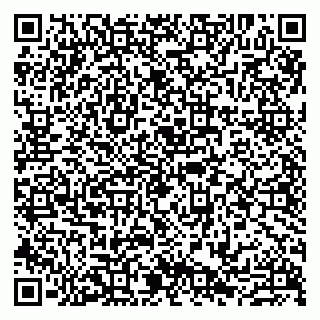 vCard 79807219300