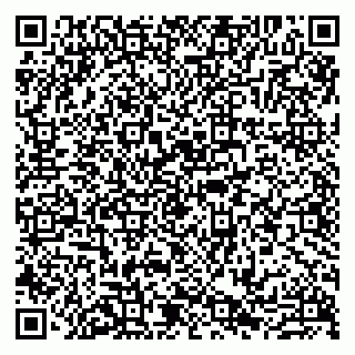 vCard 79807219331