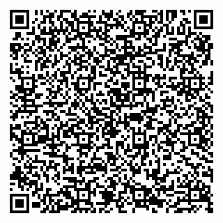 vCard 79807219333