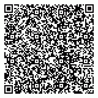 vCard 79807219381