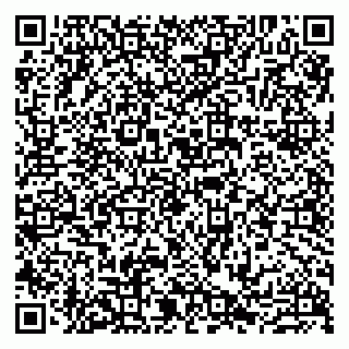 vCard 79807219387