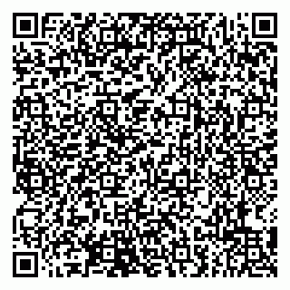 vCard 79807219533