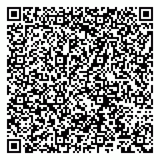vCard 79807220029