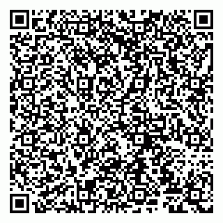 vCard 79807220038