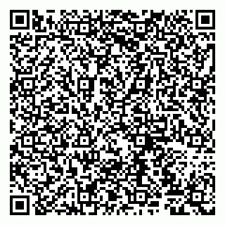 vCard 79807220272