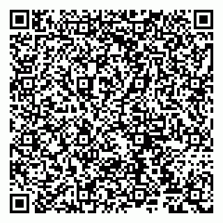 vCard 79807220288