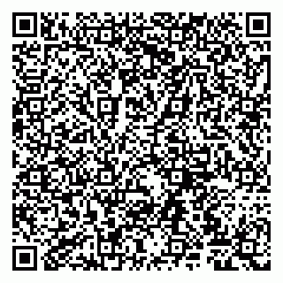 vCard 79807220300