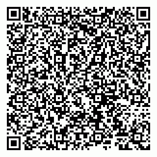 vCard 79807220313