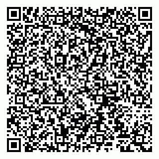 vCard 79807220331