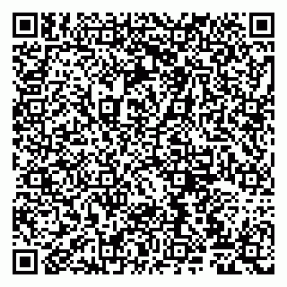 vCard 79807220333