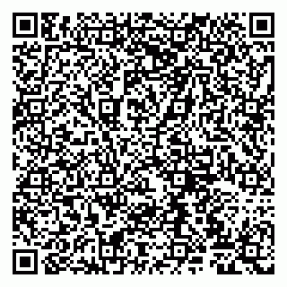 vCard 79807220339