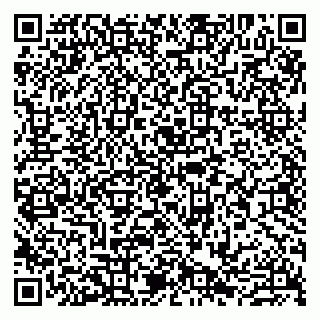 vCard 79807220378