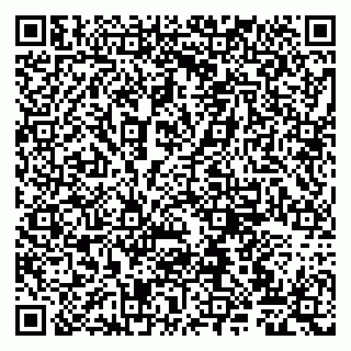 vCard 79807220379