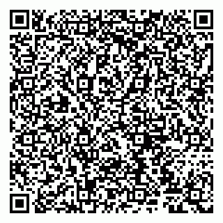 vCard 79807220380