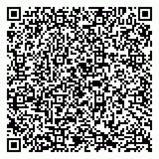 vCard 79807220381