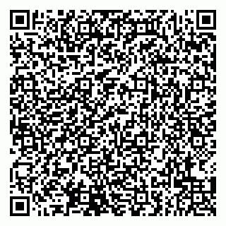 vCard 79807220413
