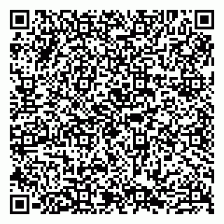 vCard 79807220537