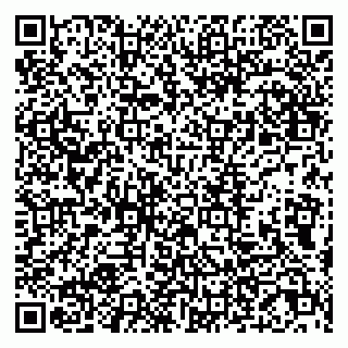 vCard 79807220735