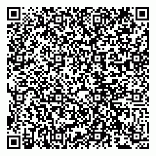 vCard 79807220903