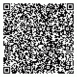 vCard 79807221031