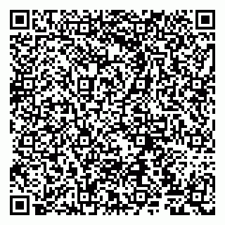 vCard 79807221037