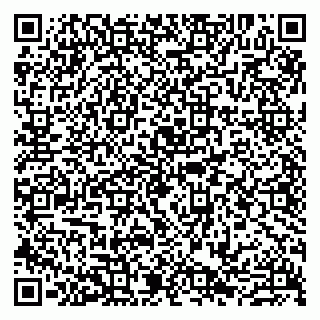vCard 79807221038