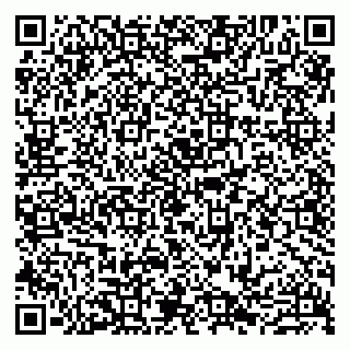 vCard 79807221039