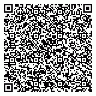 vCard 79807221049
