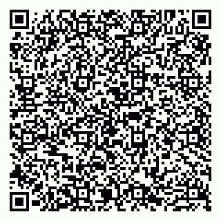 vCard 79807221078