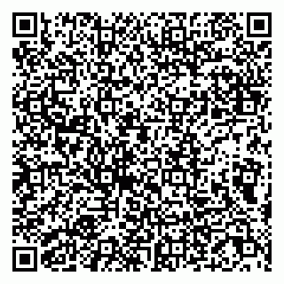 vCard 79807221087