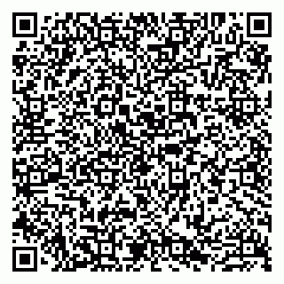 vCard 79807221234