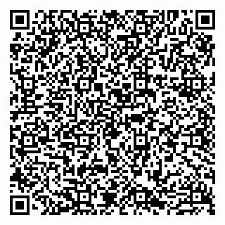 vCard 79807221307