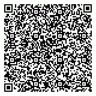 vCard 79807221331