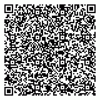 vCard 79807221411