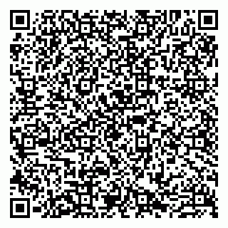 vCard 79807221703