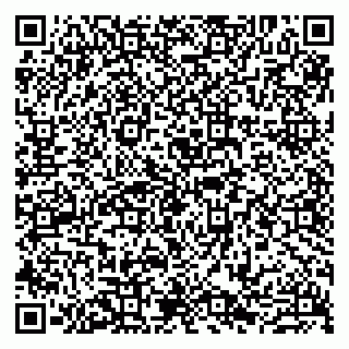 vCard 79807221875
