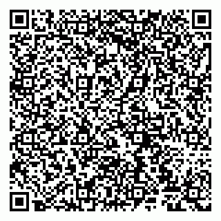 vCard 79807222028