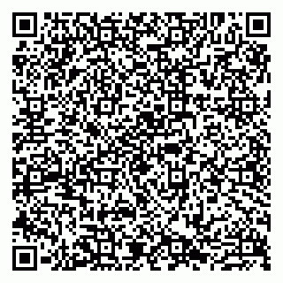vCard 79807223381