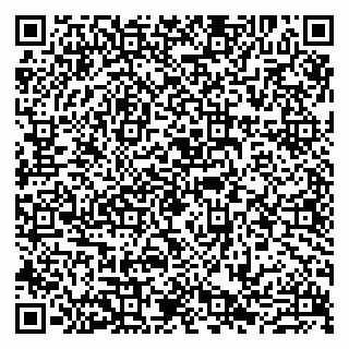 vCard 79807223385
